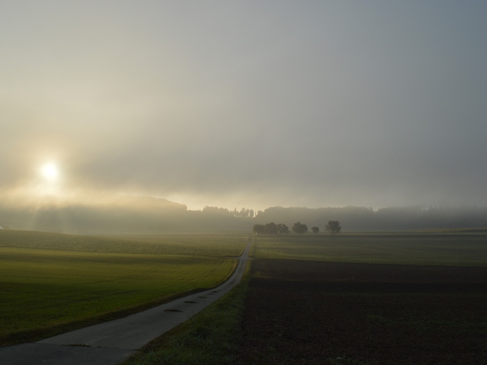 nature06