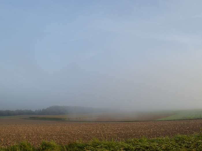 nature07