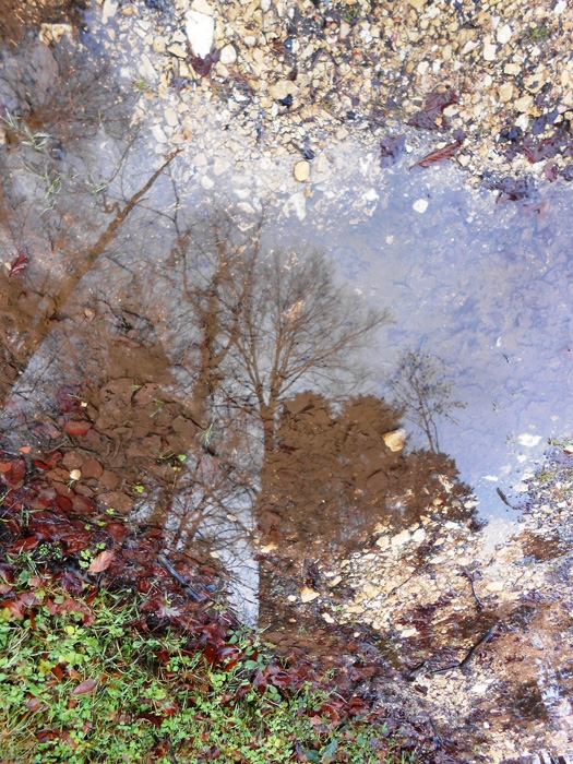 nature09