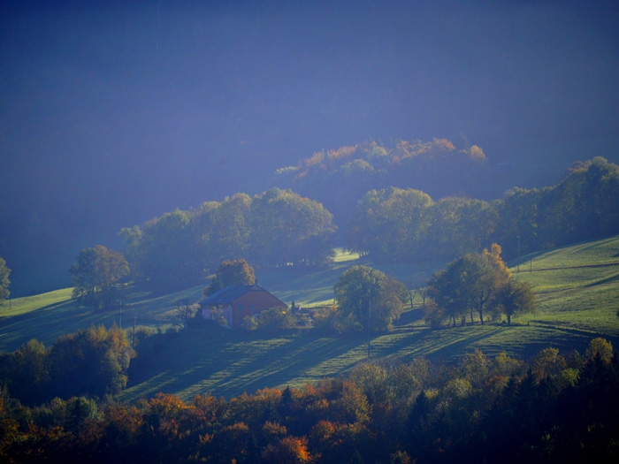 nature10