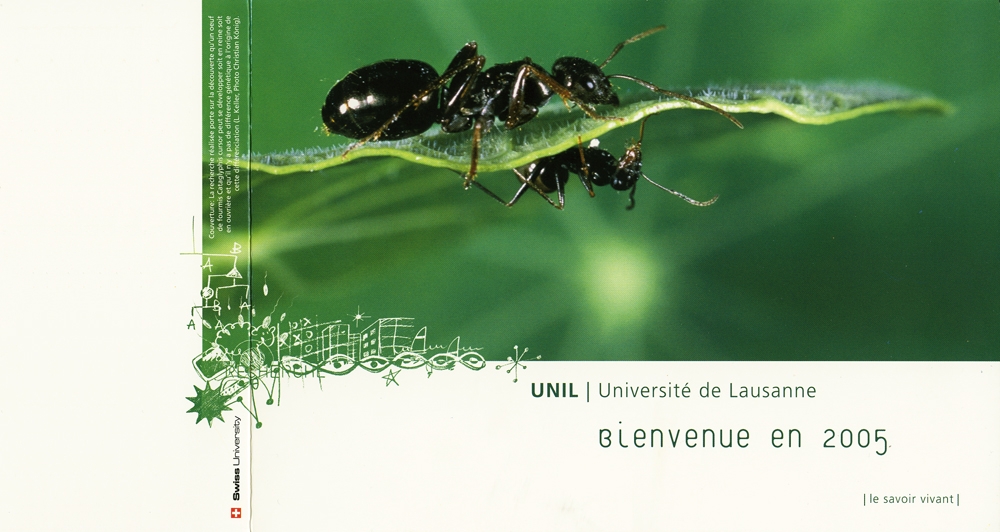cartevoeux05