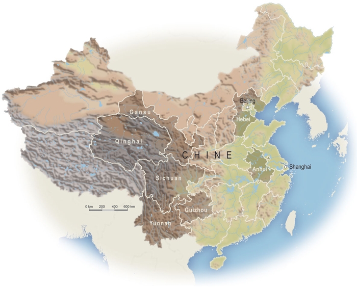 chine