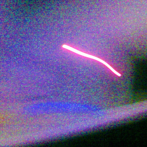 light4