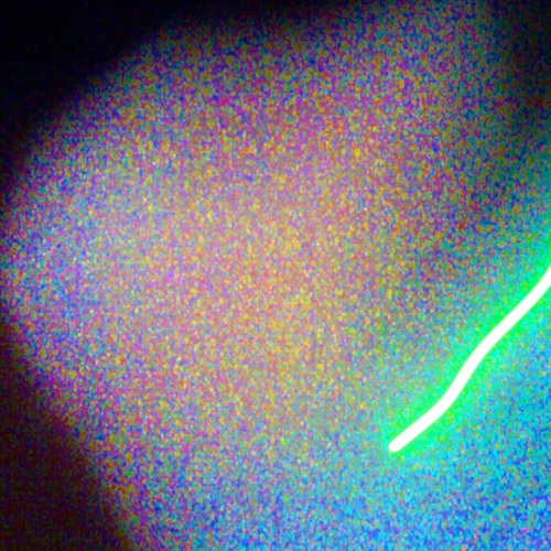 light8