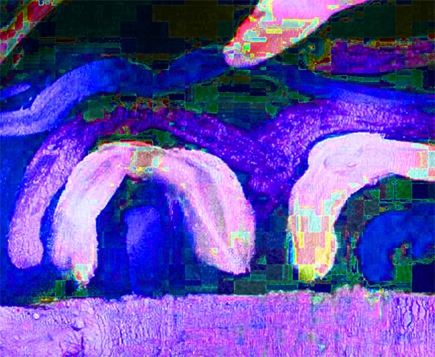 omo6