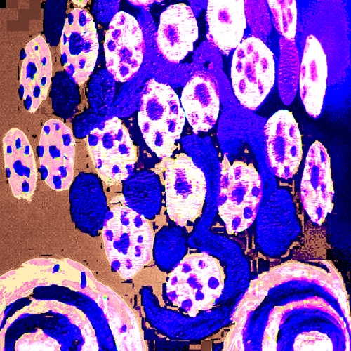 omo7
