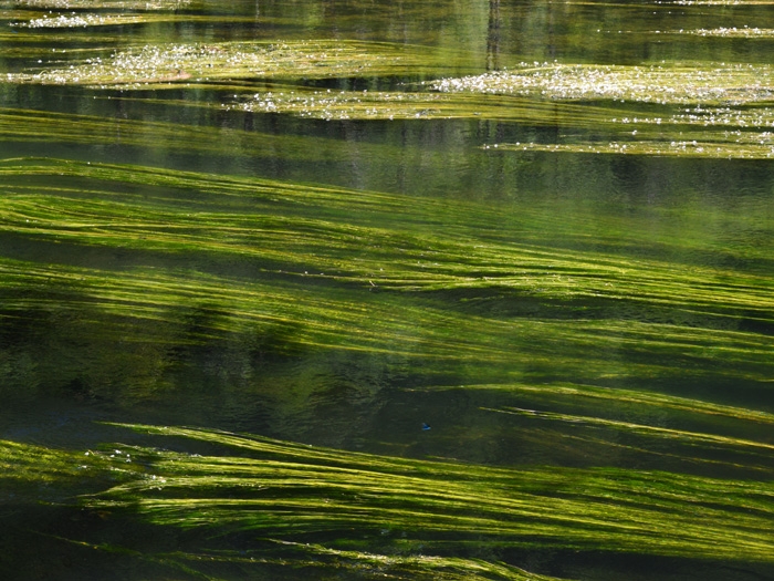 nature03